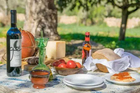 Can Pere Rapinya, Villa 6 personnes à Algaida, Illes Balears - Photo 12