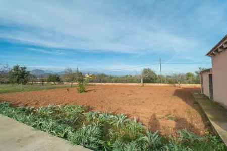 Ca'n Canastro, Villa 3 personnes à Binissalem, Illes Balears - Photo 27
