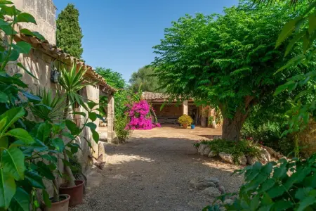 Son Negre, Villa 6 personnes à Son Negre, Felanitx, Illes Balears - Photo 37