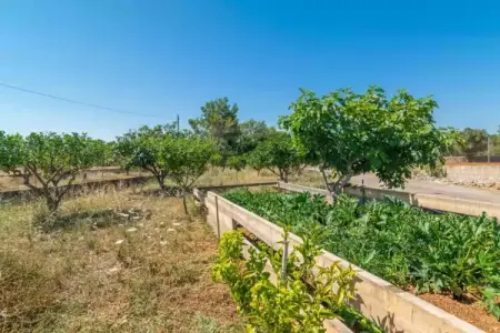 Sa Raconada, Maison 3 personnes à Algaida, Illes Balears - Photo 30