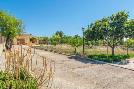 Sa Raconada, Maison 3 personnes à Algaida, Illes Balears - Photo 31