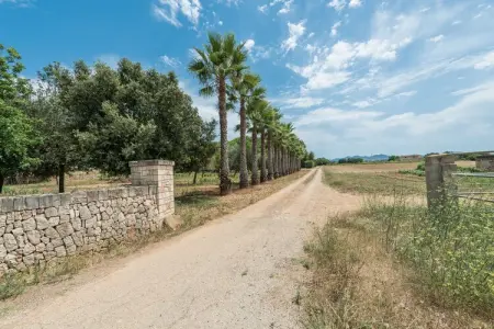 Son Lloringo, Maison 6 personnes à Manacor, Illes Balears - Photo 51