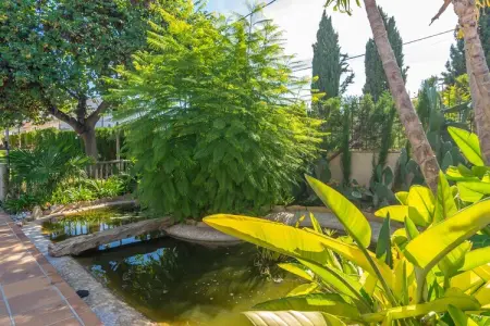 Tramontana, Villa 10 personnes à Lloseta, Illes Balears - Photo 59