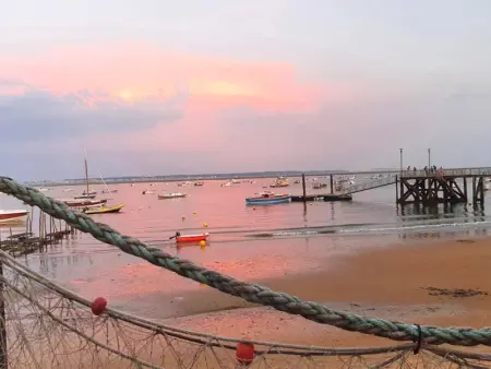 Charmante villa avec jardin clos, à 100m du Bassin d'Arcachon, proche plages et commerces, Wi-Fi - Photo 19