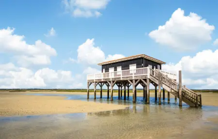 Location Maison 7 personnes à Lanton - Photo 7