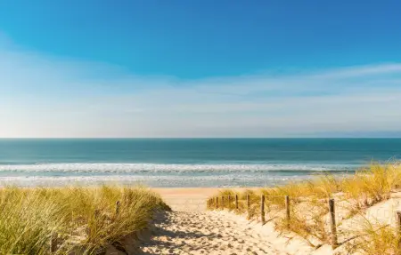 Location Maison 7 personnes à Lanton - Photo 15