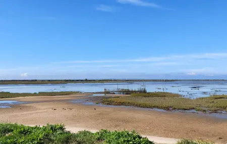 Location Maison 7 personnes à Lanton - Photo 23