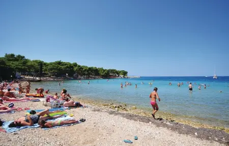 Location Maison 8 personnes à Petrcane - Photo 41