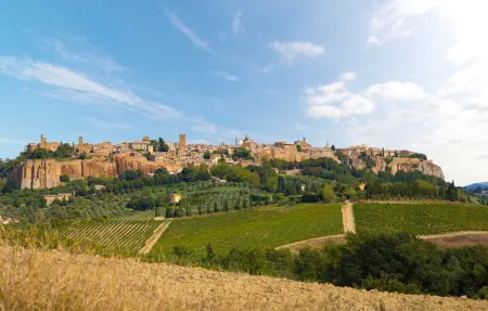 Location Maison 14 personnes à Orvieto - Photo 8