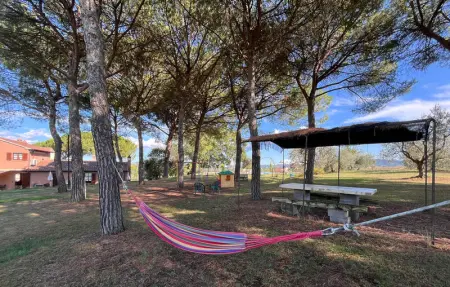 Location Appartement 5 personnes à Castiglione del Lago - Photo 18