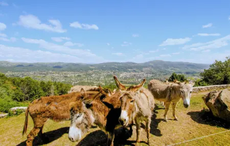 Location Maison 8 personnes à Privas - Photo 27