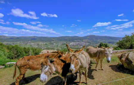Location Maison 11 personnes à Privas - Photo 27