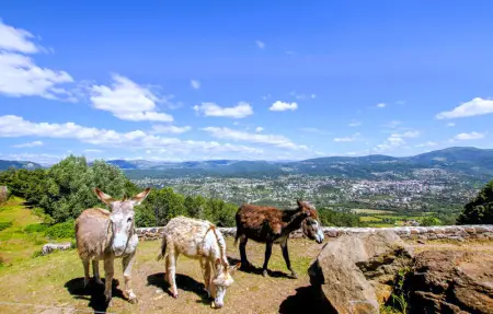 Location Maison 6 personnes à Privas - Photo 25