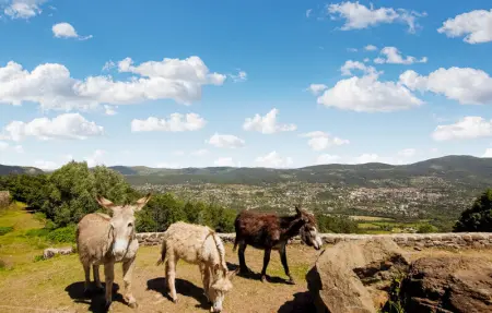 Location Maison 6 personnes à Privas - Photo 23