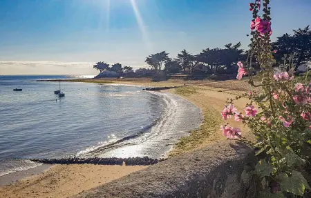 Location Maison 8 personnes à Barbatre - Photo 30