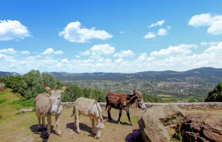 Location Maison 6 personnes à Privas - Photo 27