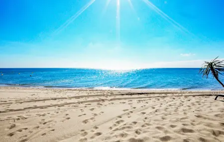 Location Appartement 6 personnes à Le Barcarès - Photo 7