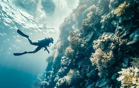 Location Appartement 4 personnes à Águilas - Photo 24