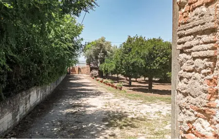 Villa Mesiano, Maison 4 personnes à Polistena - Photo 11