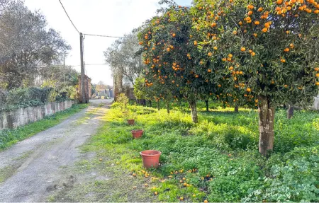 Villa Mesiano, Maison 4 personnes à Polistena - Photo 23