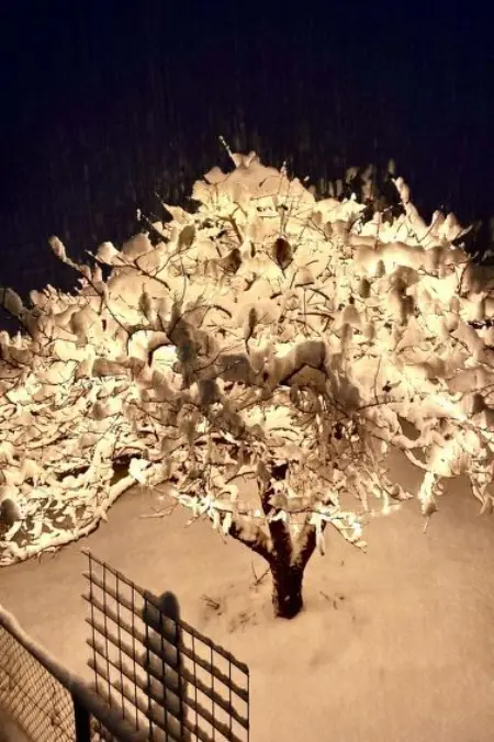 Ferienwohnung Gehrihorn, Appartement 5 personnes à Frutigen - Photo 3