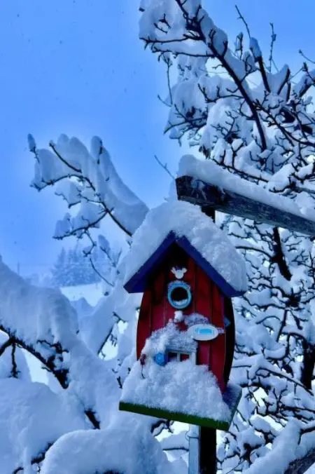 Ferienwohnung Gehrihorn, Appartement 5 personnes à Frutigen - Photo 4