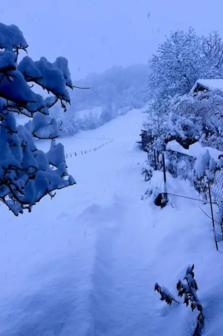 Ferienwohnung Gehrihorn, Appartement 5 personnes à Frutigen - Photo 6