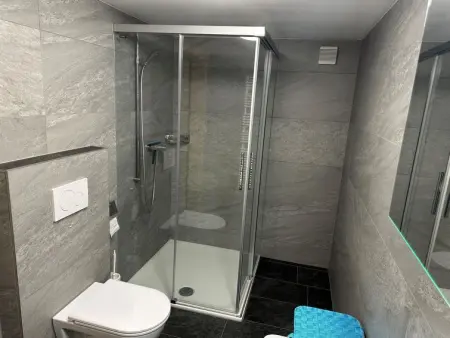 Ferienwohnung Gehrihorn, Appartement 5 personnes à Frutigen - Photo 13