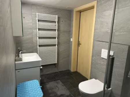 Ferienwohnung Gehrihorn, Appartement 5 personnes à Frutigen - Photo 16