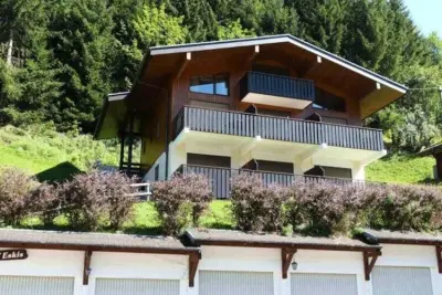 Appartement in La Clusaz, Location de Vacances La Clusaz 443 - L1029067