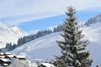 Appartement à LE GRAND BORNAND, Résidence Planay - N°1029593