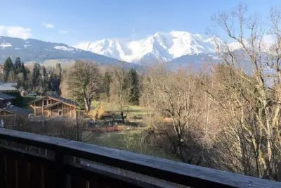 Appartement à Combloux, Perle Rare Avec Vue Sur Mont-blanc - N°1029673