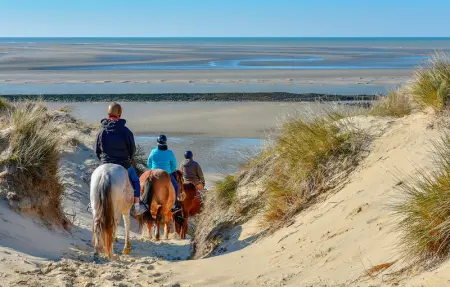 Location Maison 6 personnes à Le Touquet - Photo 6