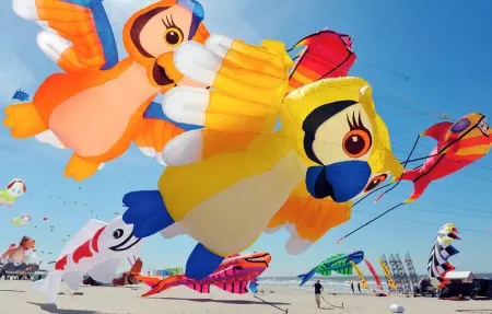 Location Maison 6 personnes à Le Touquet - Photo 23