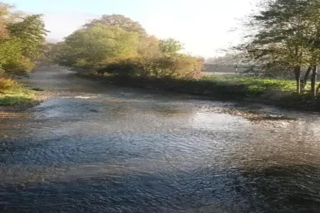 Les Trois Feuilles, Maison 4 personnes à Viroinval - Photo 24