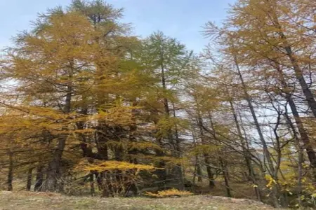 Les Trois Feuilles, Maison 4 personnes à Viroinval - Photo 34