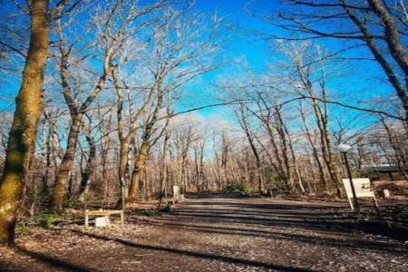 Mélèze, Maison 6 personnes à Viroinval - Photo 25
