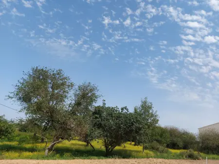 Maison familiale au calme avec jardin et barbecue - Photo 26