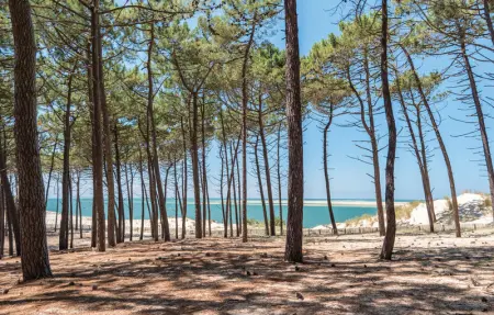 Location Maison 10 personnes à Ares - Photo 6