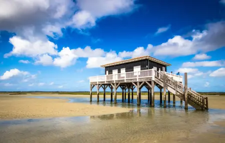 Location Maison 10 personnes à Ares - Photo 19