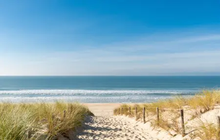 Location Maison 10 personnes à Ares - Photo 20