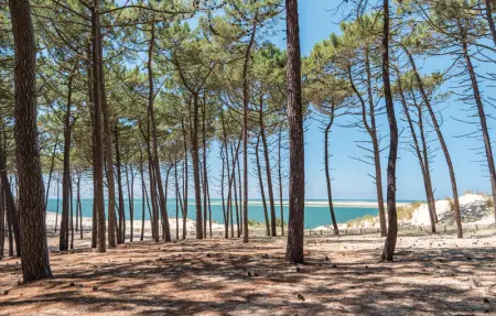 Location Maison 9 personnes à Ares - Photo 23