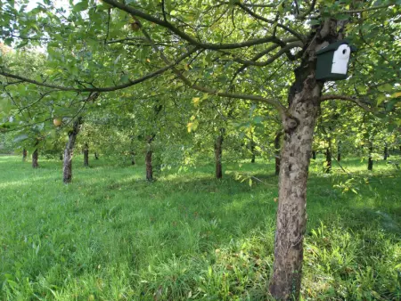 Maison passive avec jardin et animaux admis à Sotteville - Photo 20