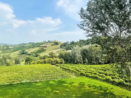 Tenuta Bricco San Giorgio, Appartement 8 personnes à Vinchio - Photo 37