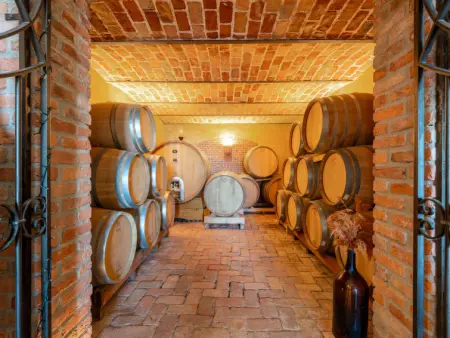 Tenuta Bricco San Giorgio, Appartement 8 personnes à Vinchio - Photo 42