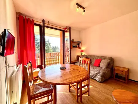 Studio skis aux pieds avec balcon et animaux admis - Photo 1