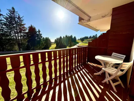 Studio skis aux pieds avec balcon et animaux admis - Photo 3