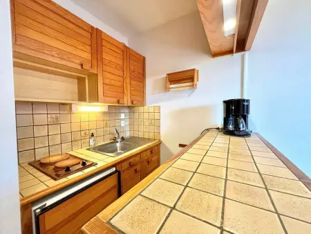 Studio skis aux pieds avec balcon et animaux admis - Photo 5