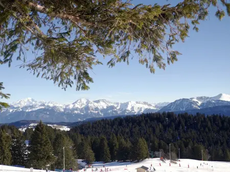 Studio skis aux pieds avec balcon et animaux admis - Photo 8