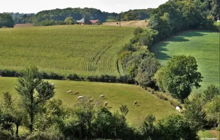 Location Maison 5 personnes à Milly sur Thérain - Photo 20